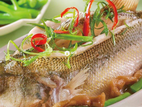 不要吃魚、羊肉等富含蛋白質的產奶食物