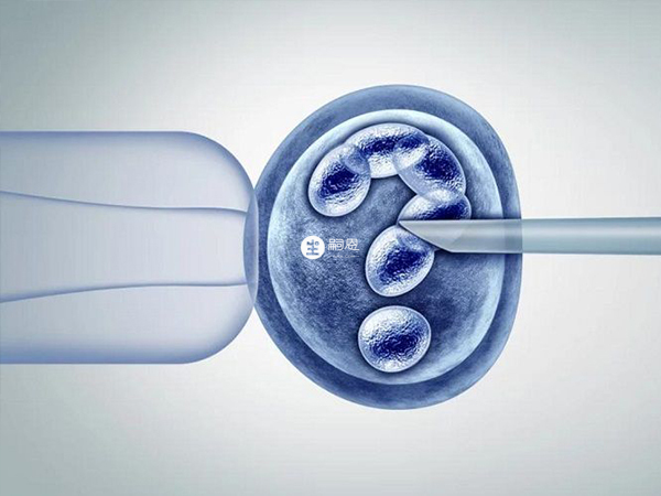 導致試管嬰兒胚胎停育是什麼原因