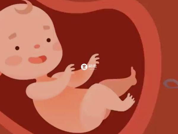 胎教促进胎儿的身体发育