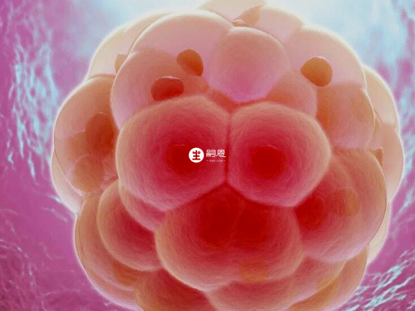 内膜厚度适宜胚胎着床
