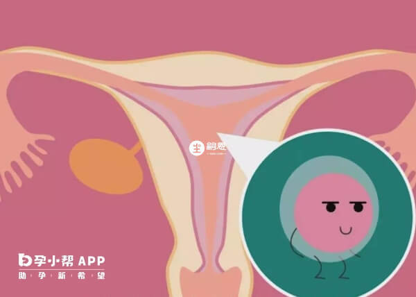 宮外孕就是胚胎未在子宮內著床