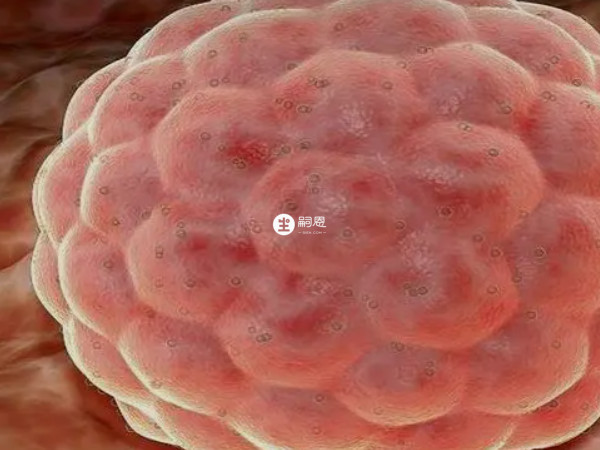 4bb囊胚著床可能會生化妊娠