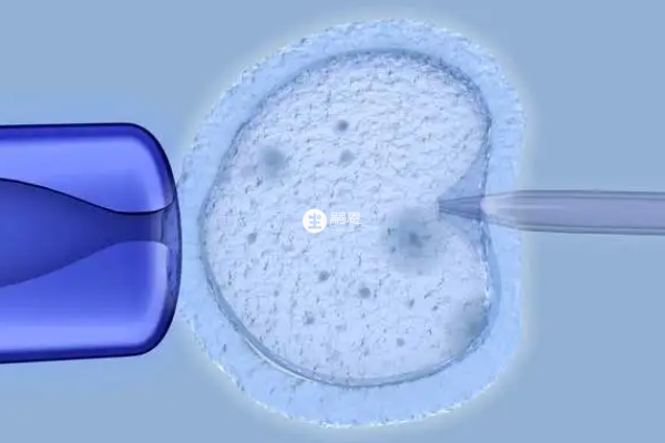 4bb囊胚著床生化妊娠的原因