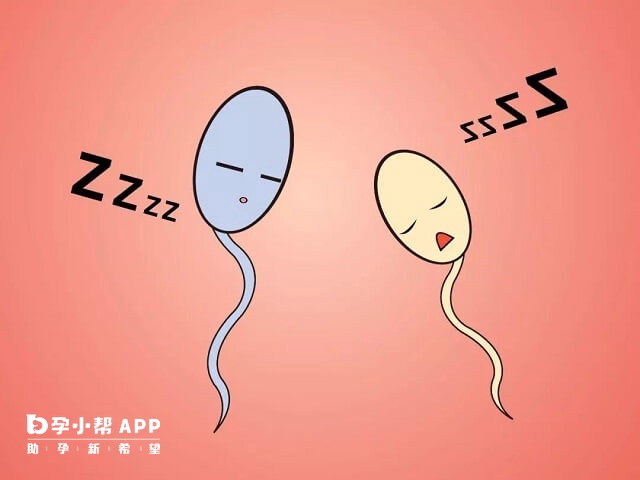 三代試管基本不會胎停育的原因