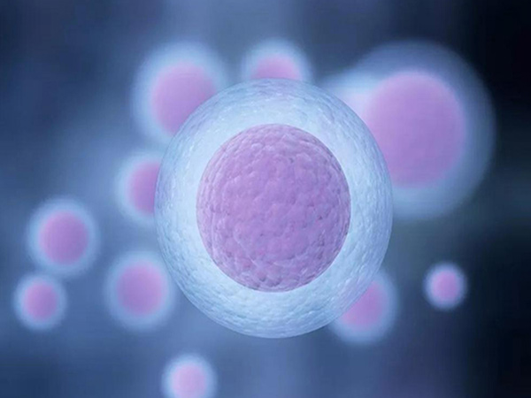 卵巢早衰能做供卵试管