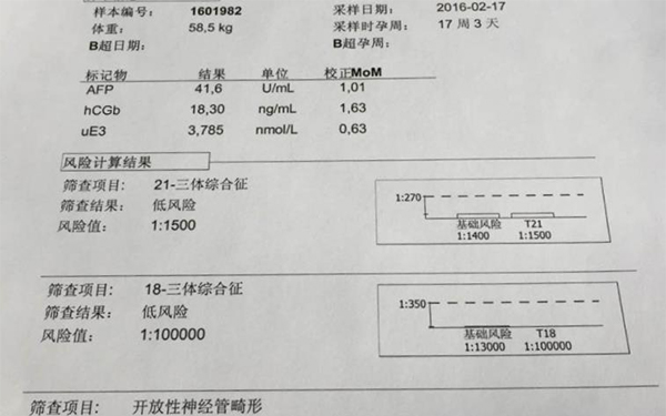 决定胎儿性别的是XY性染色体