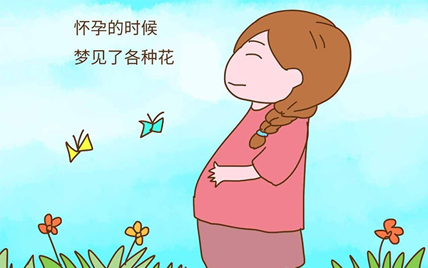 夢見花叢蝴蝶翩翩起舞暗示生女孩
