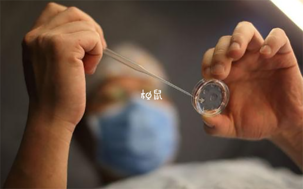 人工移凍胚要一個月