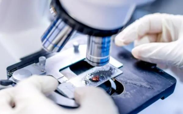 移植後48小時是手術後的48小時