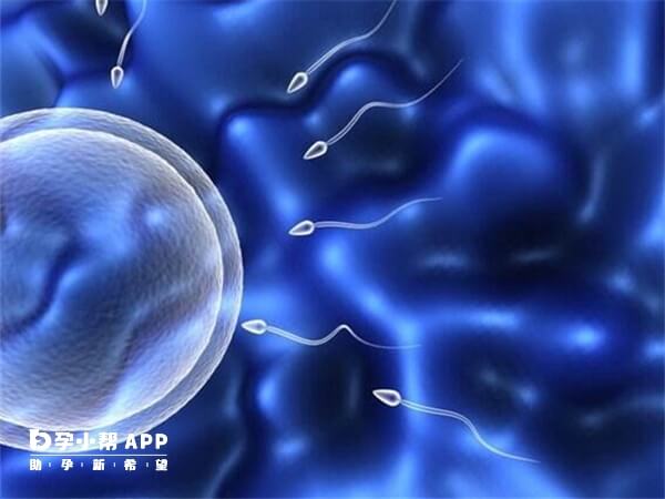 試管孕8周孕反消失正不正常