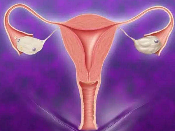 試管移植子宮前位比後位好