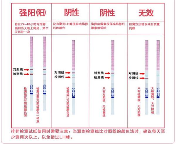 排卵試紙檢視方法圖片解釋