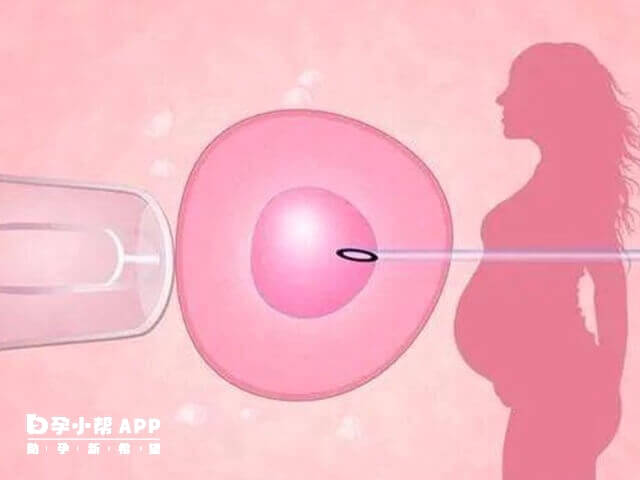 取卵後吃溫性水果有助於身體恢復