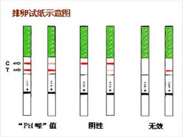 排卵试纸的三种结果