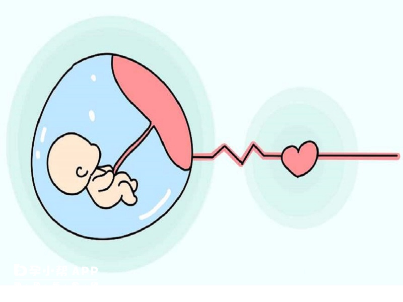 试管婴儿胎停育的时间