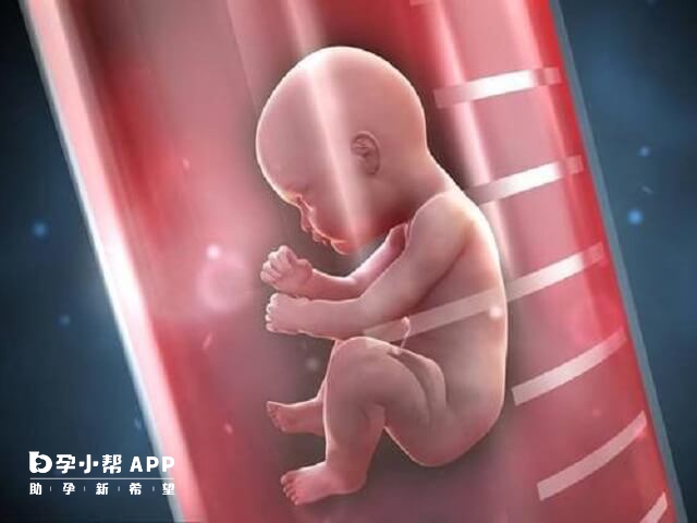 湘雅附一附二附三試管技術